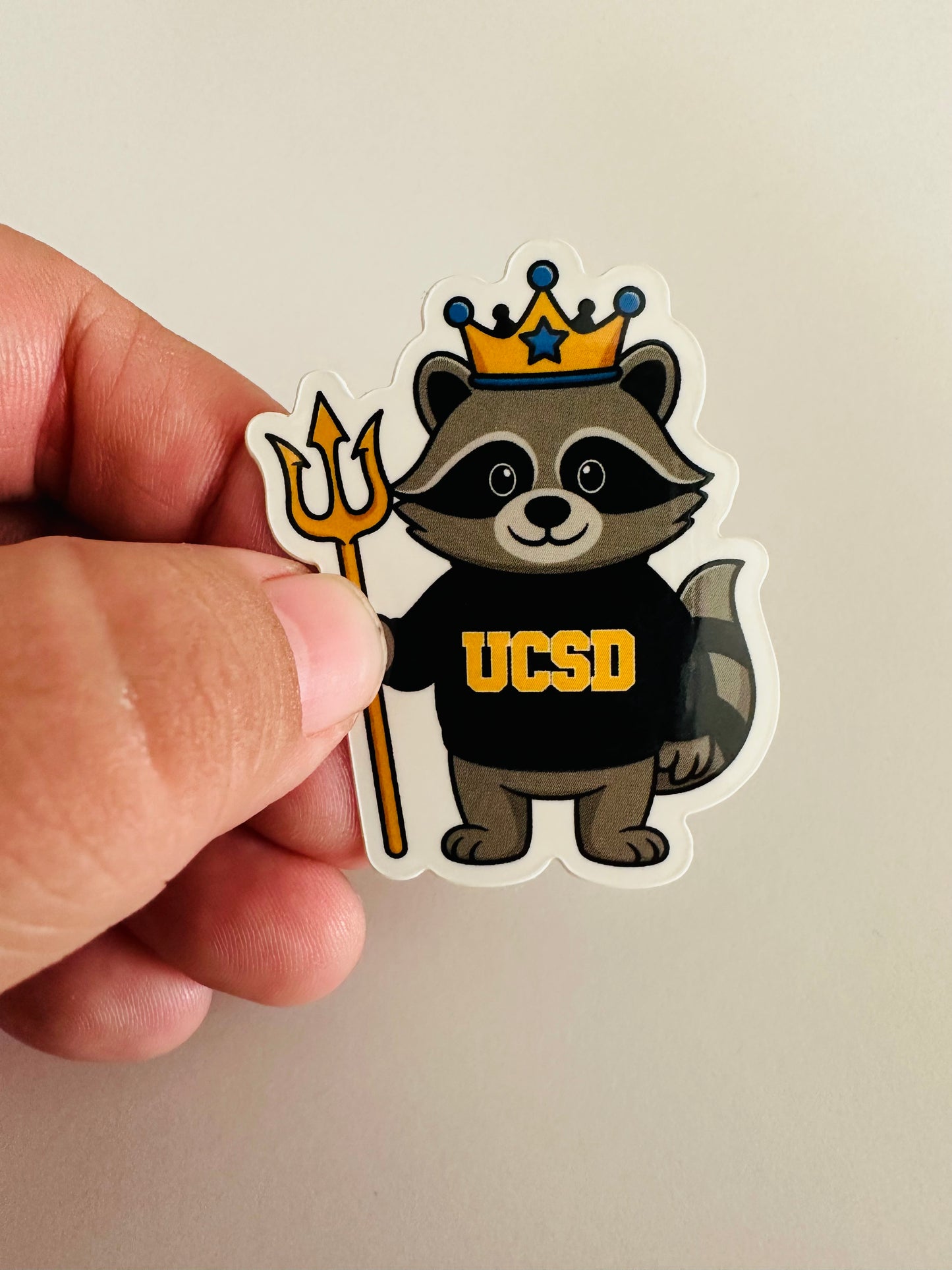 UCSD Raccoon Sticker