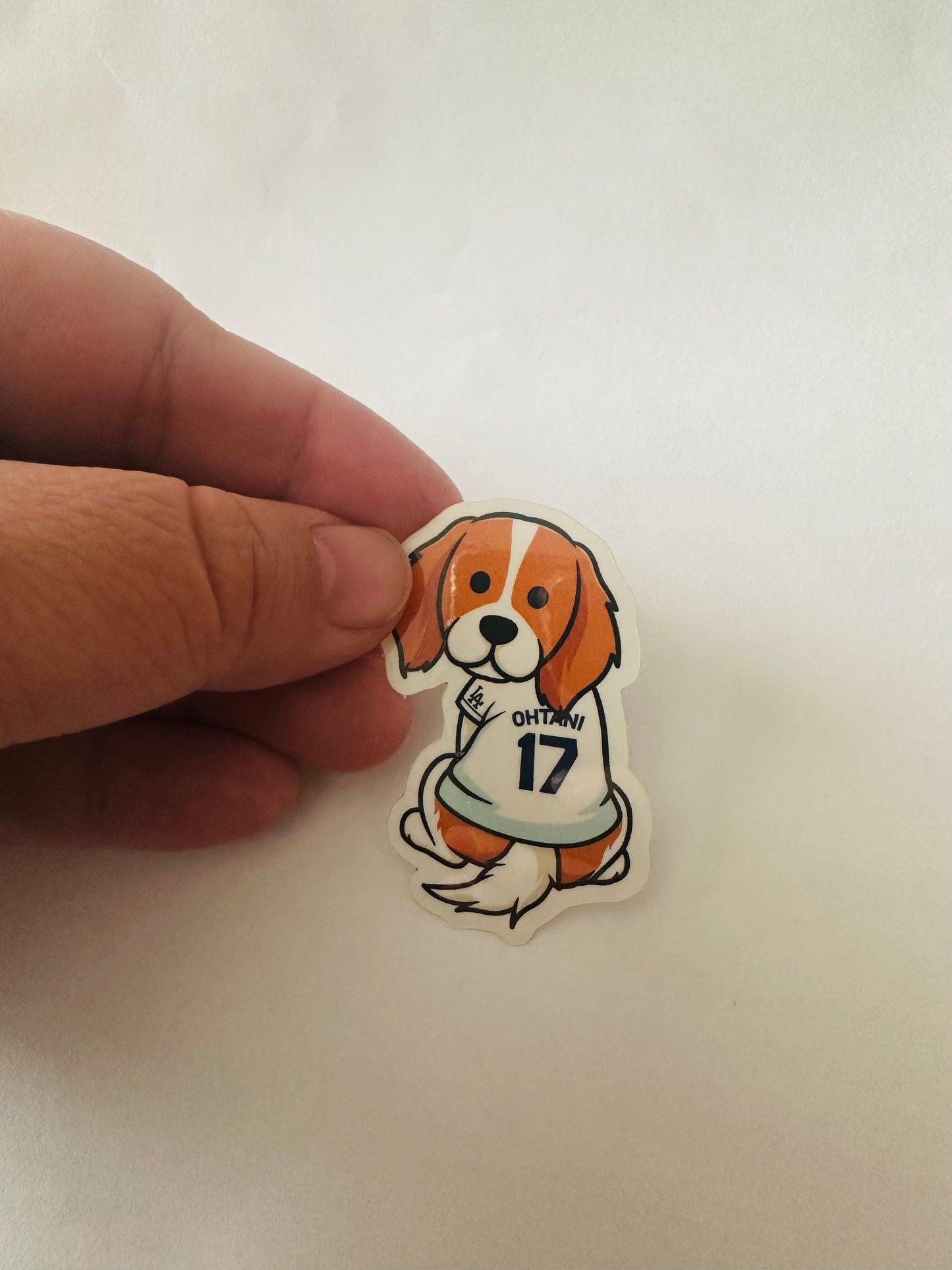 Decoy Sticker